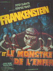 Frankenstein And The Monster From Hell Poster 2