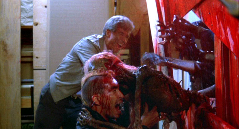 linnea quigley as 'trash' fany