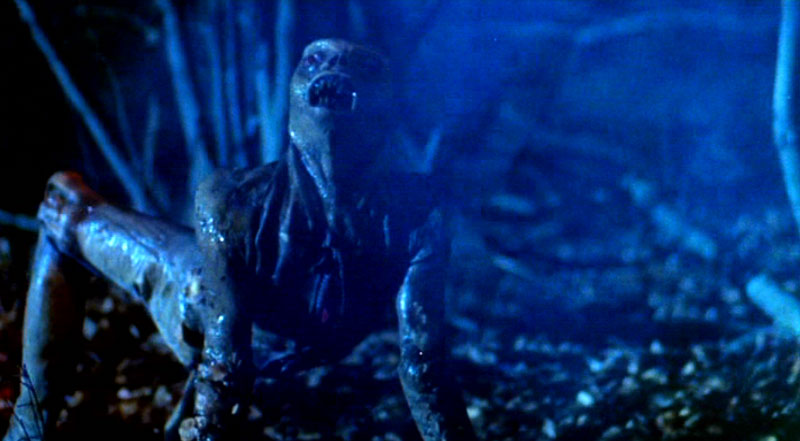 ������ ��������.   - 800x441, 64.1Kb