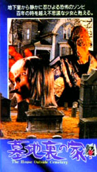 House By The Cemetery Video Cover 4