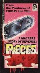 Pieces Video Cover 2