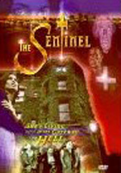 The Sentinel Video Cover 3